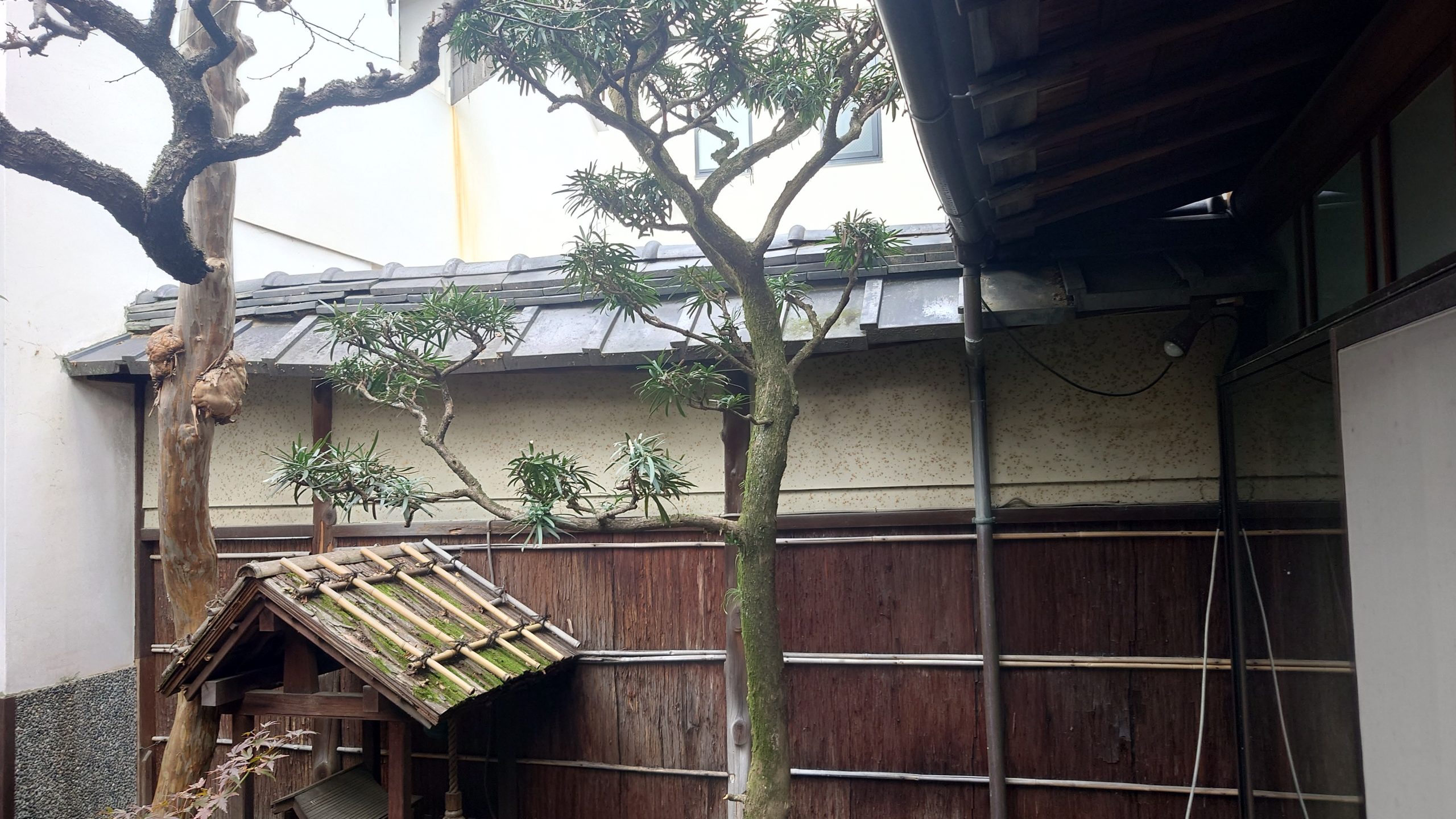 塀の修繕（改修前）